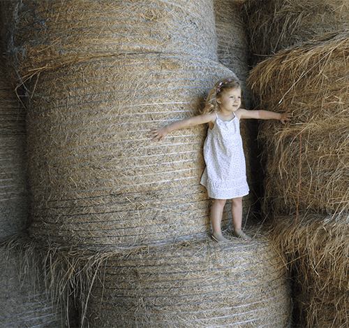 social media property photos