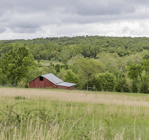 quality property photos